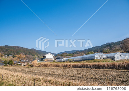 奈良縣飛鳥村飛鳥的鄉村景色 136768008