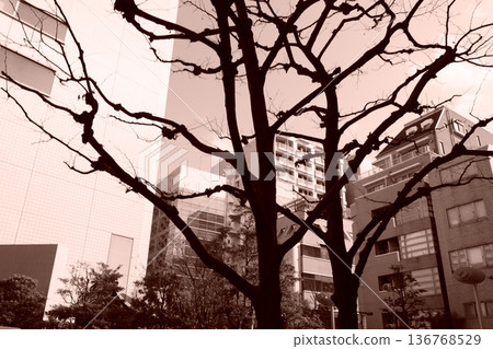 Winter dead 136768529