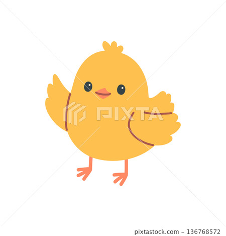 Cute yellow chick vector illustration in flat cartoon style. Simple baby bird character isolated on white background, perfect for kids design, spring, Easter, stickers, prints, branding and education Cute yellow chick vector illustration in flat cartoon style. Simple baby bird character isolated on white background, perfect for kids design, spring, Easter, stickers, prints, branding and education 136768572