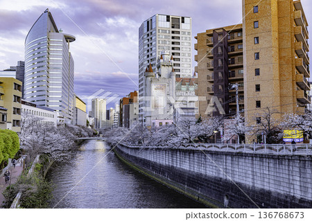 東京目黑川櫻花節 東京目黑川櫻花節 136768673