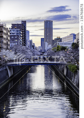 Tokyo Meguro River Cherry Blossom Festival Tokyo Meguro River Cherry Blossom Festival 136768678