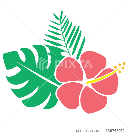 粉紅色芙蓉花和熱帶植物插圖 - 異國花卉設計 136768951