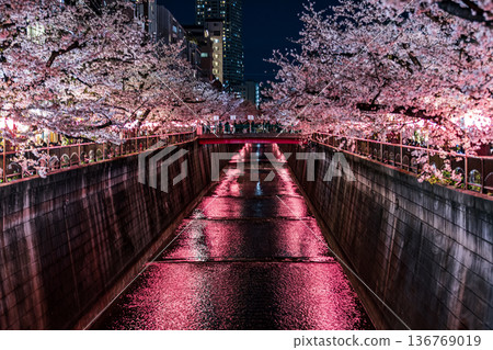 東京目黑川夜景櫻花燈火璀璨 東京目黑川夜景櫻花燈火璀璨 136769019