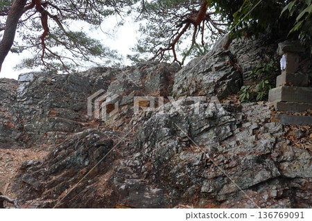 唐澤山城天狗岩與神社（栃木縣佐野市） 136769091