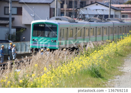Nanohana flowers and the Daiyuzan Line train 136769218