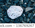 Dusk beach, washed up coral fragments 136769267