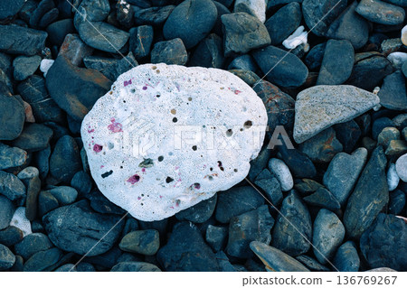 Dusk beach, washed up coral fragments Dusk beach, washed up coral fragments 136769267