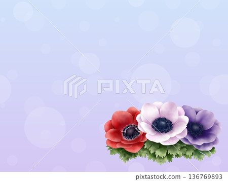 銀蓮花屬背景 136769893