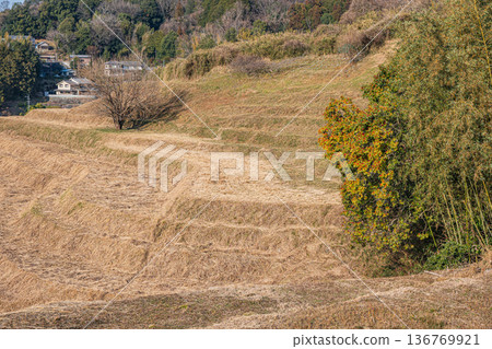 Sakata Rice Terraces, a scenic spot in Asuka Village, Nara Prefecture 136769921