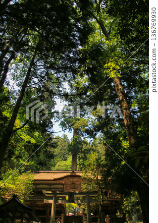 庫拉瑪寺 136769930