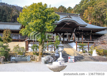 Omi Jingu 136770010