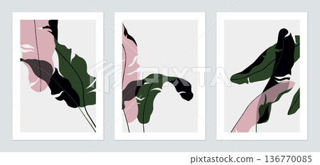 Botanical poster template design, green and pink banana leaves illustrations on grey Botanical poster template design, green and pink banana leaves illustrations on grey 136770085