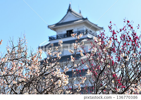 Shimabara Castle tower and plum blossoms Shimabara Castle tower and plum blossoms 136770386