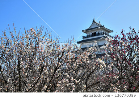 Shimabara Castle tower and plum blossoms Shimabara Castle tower and plum blossoms 136770389