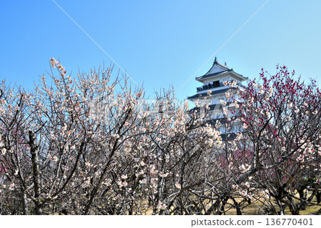 Shimabara Castle tower and plum blossoms Shimabara Castle tower and plum blossoms 136770401