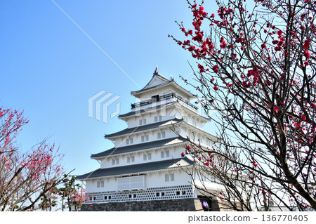 島原城天守閣和梅花 136770405