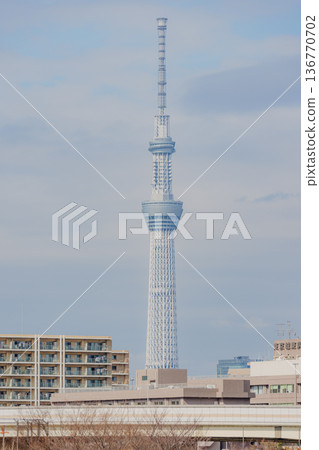 從大島小松川公園看到的晴空塔 從大島小松川公園看到的晴空塔 136770702