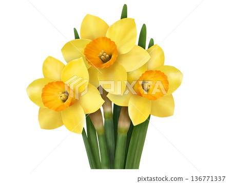 小號水仙花 136771337