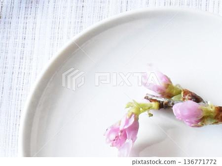 白色背景上的慶應櫻花和梅花的特寫 白色背景上的慶應櫻花和梅花的特寫 136771772