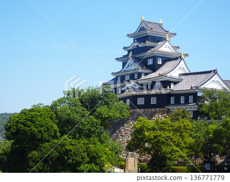 Okayama Castle (Okayama City, Okayama Prefecture) - Photographed in July 2025 136771779