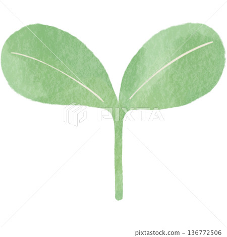新葉萌發的生態插畫 | 展現植物、生長與環境保護的自然設計素材 新葉萌發的生態插畫 | 展現植物、生長與環境保護的自然設計素材 136772506