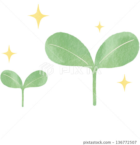 Ecological illustration of a new leaf sprout | Natural design material expressing plants, growth, and environmental protection Ecological illustration of a new leaf sprout | Natural design material expressing plants, growth, and environmental protection 136772507