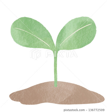 新葉萌發的生態插畫 | 展現植物、生長與環境保護的自然設計素材 新葉萌發的生態插畫 | 展現植物、生長與環境保護的自然設計素材 136772509
