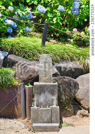 本堂寺馬頭觀音（千葉縣松戶市） 136773324