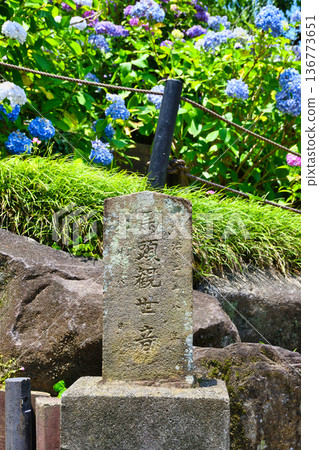 Hondoji Temple Bato Kannon (Matsudo City, Chiba Prefecture) Hondoji Temple Bato Kannon (Matsudo City, Chiba Prefecture) 136773651