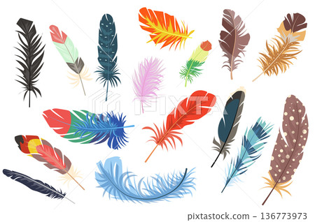 Feathers isolated elements set. Bundle of different types of colorful bright bird feathers from wings. Falling multicolored plumage signs. Creator kit for vector illustration in flat cartoon design Feathers isolated elements set. Bundle of different types of colorful bright bird feathers from wings. Falling multicolored plumage signs. Creator kit for vector illustration in flat cartoon design 136773973