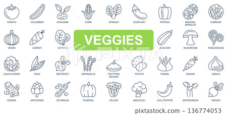 Veggies concept simple line icons set. Bundle of tomato, cucumber, spinach, eggplant, cabbage, onion, carrot, pumpkin, beetroot and other. Vector pack outline symbols for website or mobile app design 136774053