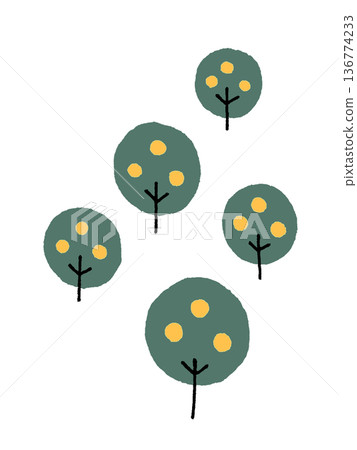 Cute and stylish mandarin orange tree illustration 136774233