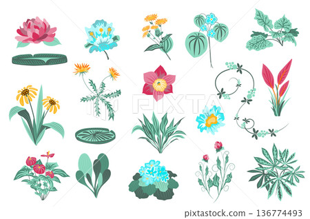 Flower and plants isolated set. Garden and wild foliage, green leaves, blooming wildflowers, flowering plants, beautiful herbs. Bundle of floral elements. Vector illustration in hand drawn design Flower and plants isolated set. Garden and wild foliage, green leaves, blooming wildflowers, flowering plants, beautiful herbs. Bundle of floral elements. Vector illustration in hand drawn design 136774493