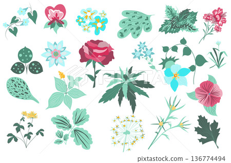 Flower and plants isolated set. Rose, green leaves, blooming wildflowers, flowering plants. Garden and wild foliage botanical decor. Bundle of floral elements. Vector illustration in hand drawn design 136774494