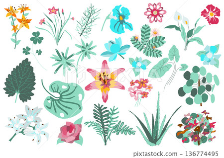 Flower and plants isolated set. Lilies, green leaves, aloe, blooming wildflowers. Flowering garden and wild foliage botanical decor. Bundle of floral elements. Vector illustration in hand drawn design 136774495