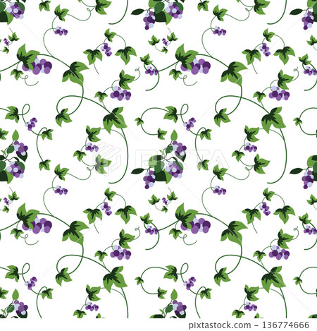 Summer flowers and leaves pattern seamless. Abstract grapevine with blue grapes, leaves and twigs curls endless ornate backdrop. Botanical garden wallpaper. Vector illustration with floral texture Summer flowers and leaves pattern seamless. Abstract grapevine with blue grapes, leaves and twigs curls endless ornate backdrop. Botanical garden wallpaper. Vector illustration with floral texture 136774666