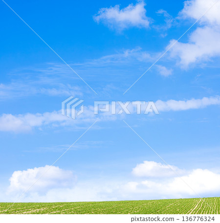 A refreshing blue sky in early summer in Hokkaido A refreshing blue sky in early summer in Hokkaido 136776324