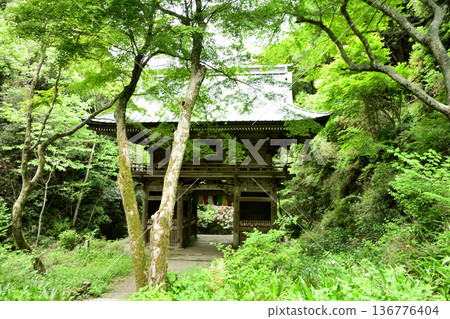 世福寺（仁王門）[大阪府泉市卷尾山町] 136776404