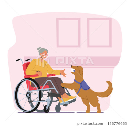 Disabled Senior Woman Character On Wheelchair Is Accompanied By Her Loyal Guide Dog, Who Assists Her With Everyday Tasks Disabled Senior Woman Character On Wheelchair Is Accompanied By Her Loyal Guide Dog, Who Assists Her With Everyday Tasks 136776663