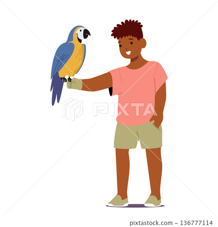 Joyful Boy Character With A Colorful Parrot Pet Sitting on Hand, Creating A Delightful Bond. They Share Playful Moments 136777114