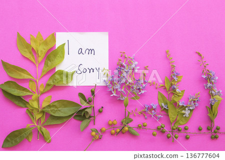 i am sorry message card handwriting with purple flowers i am sorry message card handwriting with purple flowers 136777604