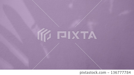 Purple Background Abstract Backdrop Effect Overlay Pastel Gradient Color Mockup Product Cosmetic Beauty Presentation blur Shadow Wall Floor Cement Brown Template Wallpaper Old Rose Template. Purple Background Abstract Backdrop Effect Overlay Pastel Gradient Color Mockup Product Cosmetic Beauty Presentation blur Shadow Wall Floor Cement Brown Template Wallpaper Old Rose Template. 136777784
