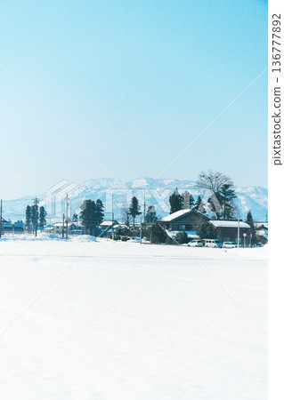 白雪皚皚的公園景色 136777892