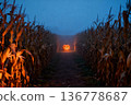 Glowing jack-o'-lantern in cornfield path at dusk 136778687