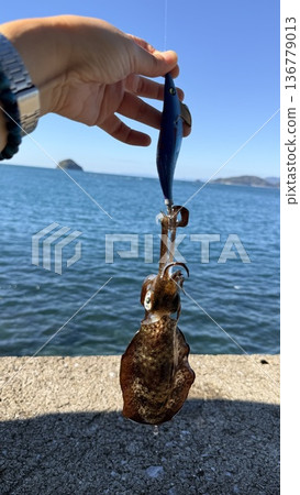 環島騎行時會遇到麻煩 環島騎行時會遇到麻煩 136779013