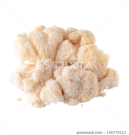 Yamabushitake mushroom or lion mane mushroom isolated over white background. Yamabushitake mushroom or lion mane mushroom isolated over white background. 136779111