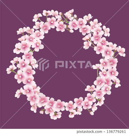 Cherry blossom wreath (purple background) 136779261