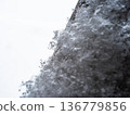 Snow in Tokyo 136779856