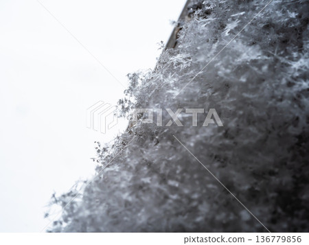 在東京下雪 136779856