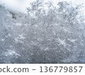Snow in Tokyo 136779857